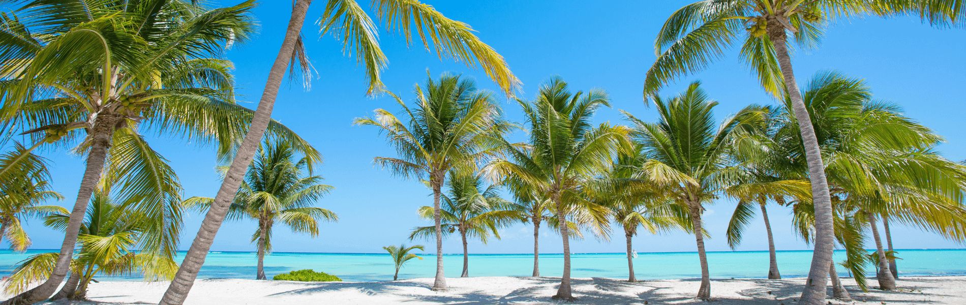 Travel Insurance banner